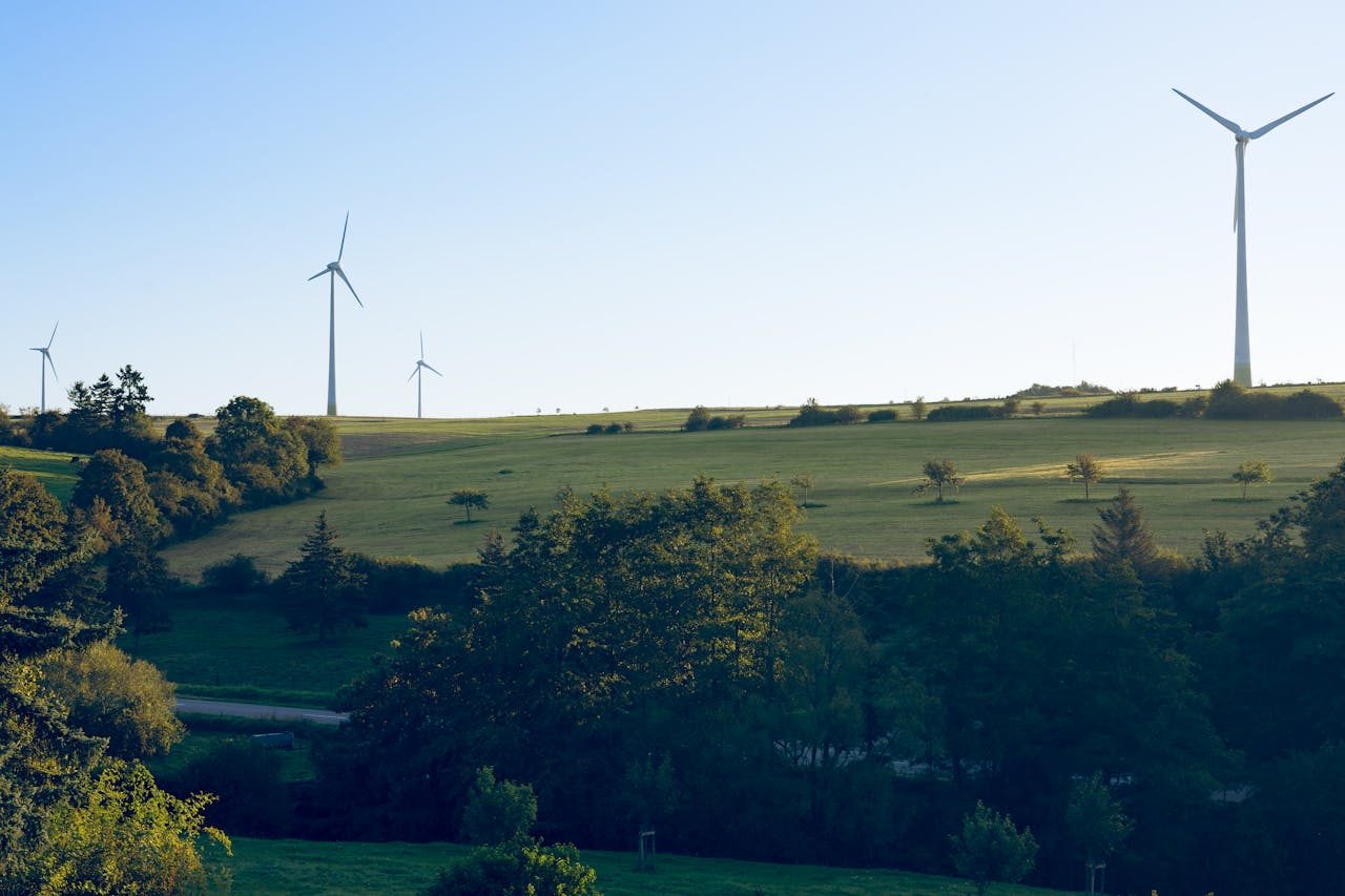 ESG Report Assurance - Image of fields, wind turbines and trees