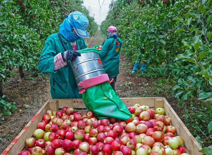 The Subtle Art of Wage Theft in the UK Labour Market